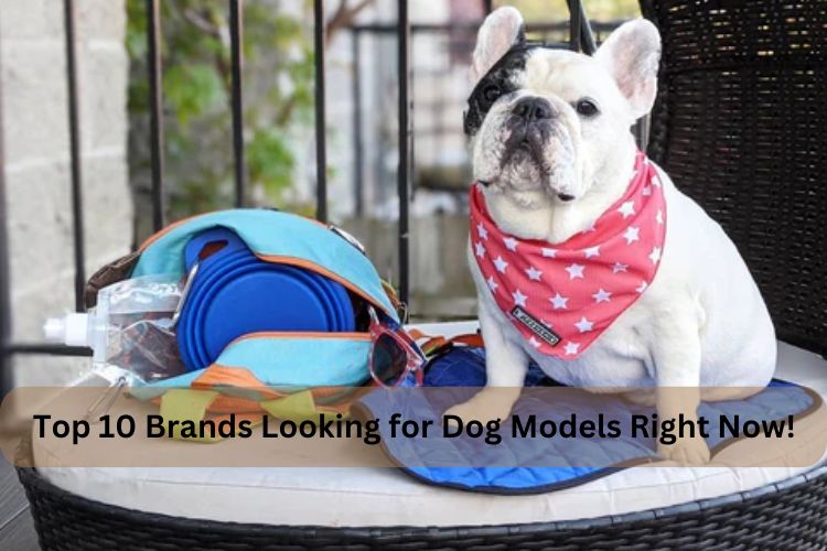 Top 10 Brands Looking for Dog Models